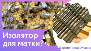 Пчёлы. На трех корпусах. Результат использования изолятора.