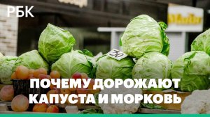 ФАС возбудила дело против крупнейшего производителя сахара в России