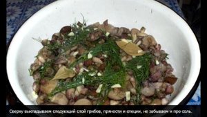 Cоленые маслята горячим способом в банке на зиму быстрый простой рецепт