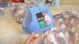 Подарки для крыс к Новому году / зоопокупки / Алиса Изи Петс / Alisa Easy Pets