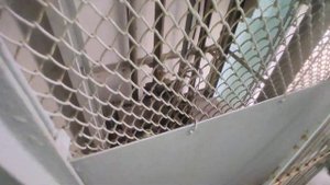 Лифт Мослифт 2000х в сетчатой шахте | Г/П-400кг, скорость 0.71м.с.