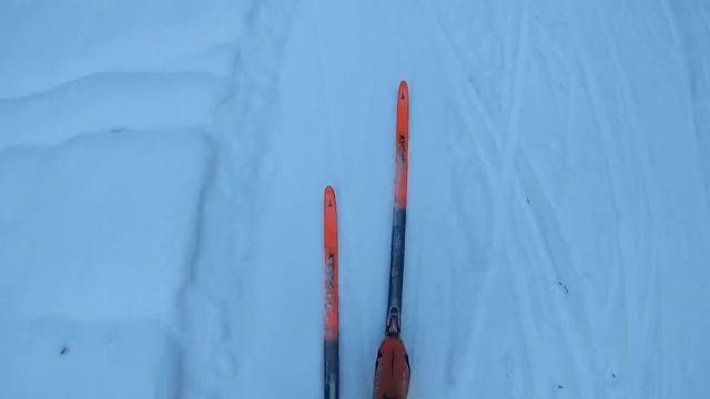 29.12.2021 Тренировочный процесс,тестирую беговые лыжи ATOMIC PRO S1 смотреть онлайн