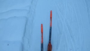 29.12.2021 Тренировочный процесс,тестирую беговые лыжи ATOMIC PRO S1