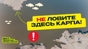 КАК и ГДЕ ЛОВИТЬ КАРПА? Практические советы и ошибки в карпфишинге!