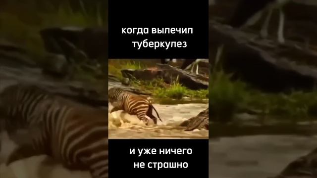 Когда излечился от туберкулеза