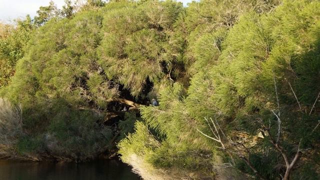 Западный парк в Окленде смотреть онлайн