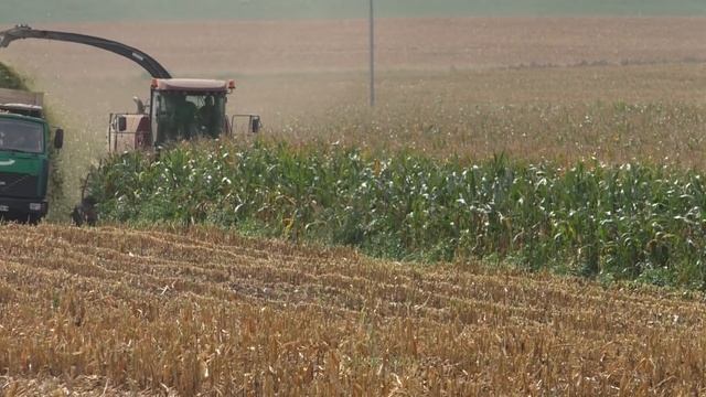 уборка кукурузы на силос в деревне КОЗЛЫ смотреть онлайн