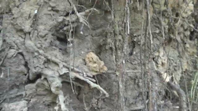 Золотоносная речка. Начало. смотреть онлайн