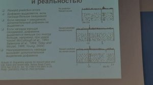 Нейробиология обучения 2. Дофамин