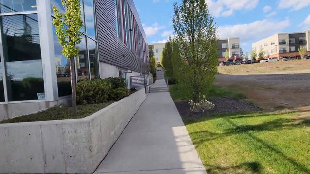 После работы и учёбы надо отдохнуть смотреть онлайн