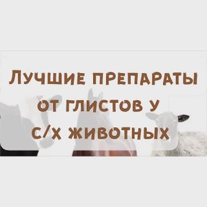 Лучшие препараты от глистов у сельскохозяйственных животных