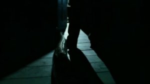 Невеста полоза (Гарри/Джинни/Василиск)