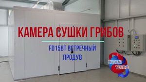 Камера сушки гриба. Метод конденсационной сушки: преимущества и нюансы работы в замкнутом цикле.