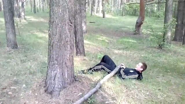 Хотели сломать дерево,Неполучилось