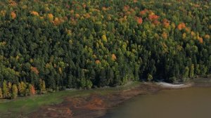 Низямка 14-09