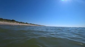 Калининград. Куршская коса. Температура воды в Балтийском море. Калининградская область