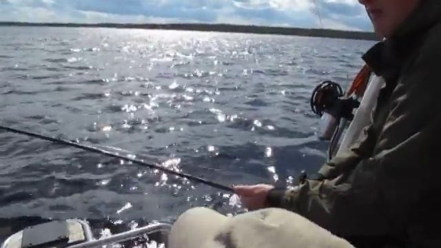 Рыбалка на Онеге. Сергей взял крупного.