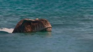 Creeping in Prehistoric Planet - Creeping In My Soul Music Video