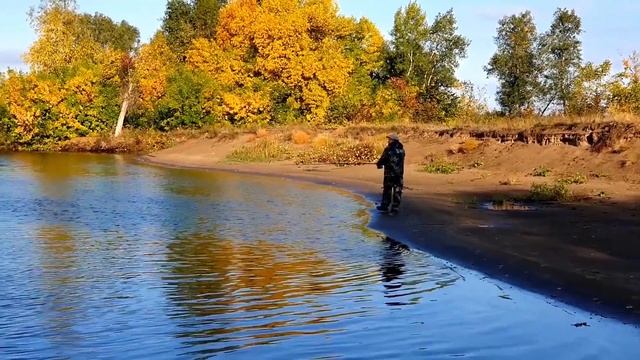 Сверхдоходный бизнес на рыбалке. Своё производство рыболовных приманок. Рыбалка на Волге.