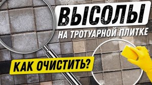 Высолы на тротуарной плитке. Причины, чем убрать, средства для чистки