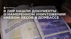 В ЛНР нашли документы о намеренном уничтожении Киевом лесов в Донбассе