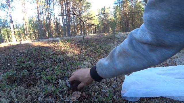 Деревенский беспредел! Взломали баню. Воруют дрова! смотреть онлайн