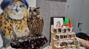 Yoll's добрый stream. Рептилиум день первый. 07.10.2023