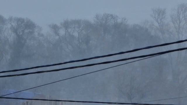 ГЕЛЕНДЖИК. МЕТЕЛЬ, СНЕГ, МОРОЗ. АНОМАЛЬНАЯ ПОГОДА ПРИШЛА НА ЮГ! 7.02.2023 смотреть онлайн