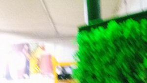 Как жарят мороженное?