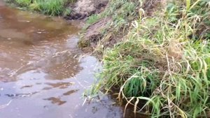 вездеход ДОЗОР