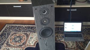 ОБЗОР акустической системы ASP Loudspeakers "REVELATION REFERENCE SE"