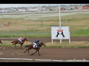 Скачки на лошадях Элиста 16 мая 2013г.  I заезд 1200 метров