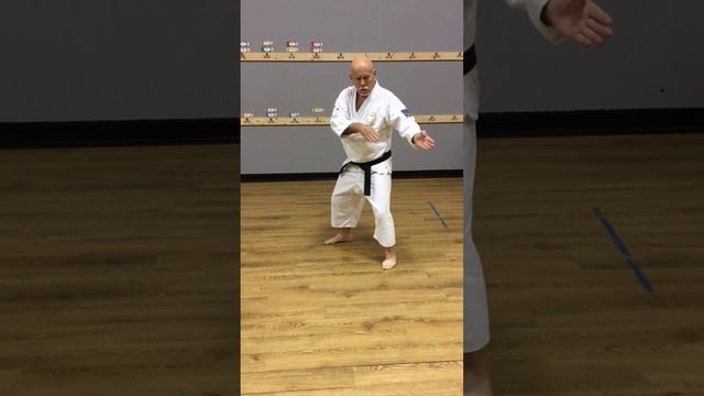 Pinan Nidan: Focus on Selected Techniques