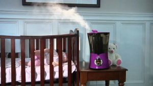 Air Innovations Clean Mist Ultrasonic Dual Tank Humidifier on QVC