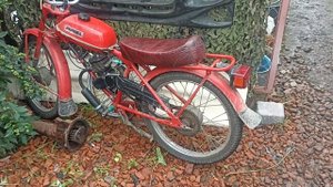 Двигатель (веломотр)  F80 .