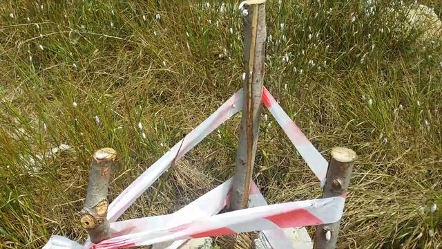 Посадка Дуба (Черешчатого)АР Крым г.Севастополь 2020г. смотреть онлайн