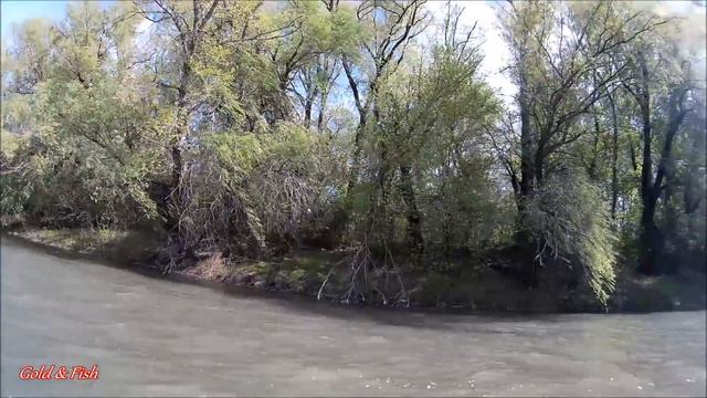 Рыбалка на карася весной. Ловля плотвы. Ловля белой рыбы. смотреть онлайн