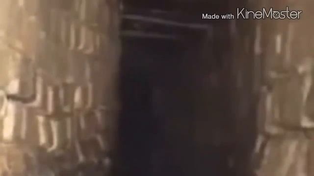 Рейк и Доверский Демон смотреть онлайн