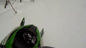 Arctic cat M8000