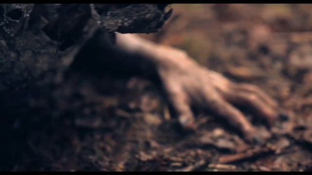 Джиперс Криперс \ Крипер в Деталях \ Jeepers Creepers