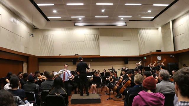 Daniel Seaman | Mozart - Horn Concerto No. 4 in E flat Major смотреть онлайн