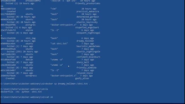 Kopiowanie plików - Polecenie docker cp - Kurs Dockera odcinek 5 смотреть онлайн