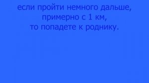 Бор на мелу. с. Ржевка,  Шебекинский район.