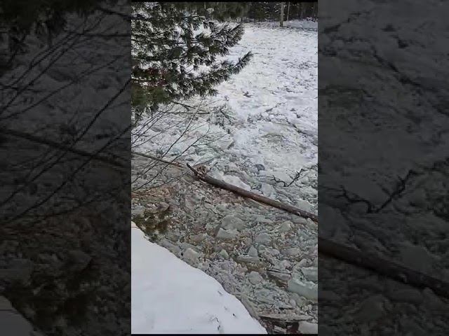 19 ноября 2023 г. смотреть онлайн