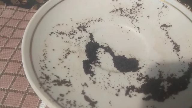 Кофе . Вопрос - ответ .Трубка мира . смотреть онлайн