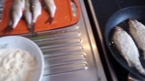 # чебак,плотва,вобла# жарим в манке#