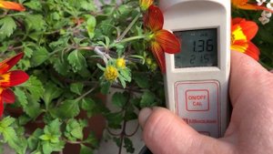 ЧТО ТАКОЕ ЕСИ? КАКАЯ ВОДА ПОДХОДИТ ДЛЯ ПОЛИВА? КАК ОНО ПОМОЖЕТ ПРИ ВЫРАЩИВАНИИ РАССАДЫ?
