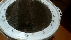 ПЖВМ, Огневка, Восковая моль, что это?