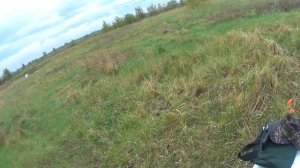 Пристрелка МР-155. Пули: "АЗОТ", "ФЕТТЕР", "Полева-6", "Полева-3", "Трио"