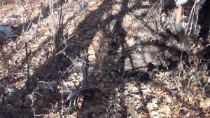 #Металлопоиск#Погода нам в помощь